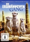 Die Erdmnnchen Gang