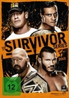 Survivor Series 2013