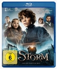 Storm und der verbotene Brief