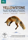 Yellowstone Nationalpark (BBC Earth)