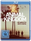 Animal Kingdom - Die komplette 1. Staffel