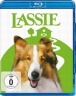 Lassie