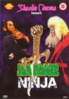 JADE DAGGER NINJA (DVD)